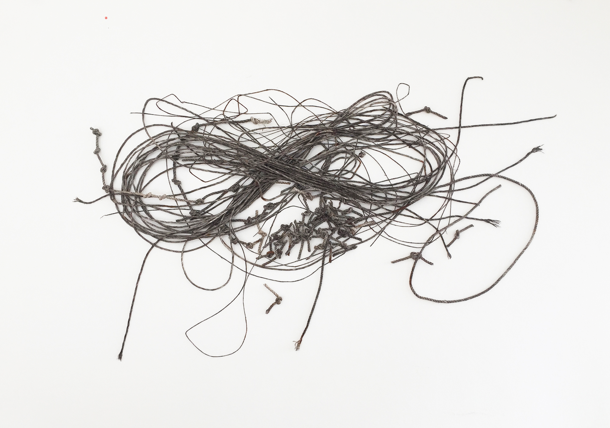 Cursive Drawings Studio Toni Ross