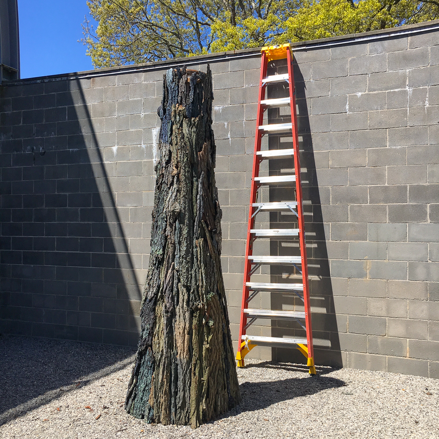 TREE, 2019 a residency and collaboration with Toni Ross and Laurie Lambrecht at Robert Wilson's WATERMILL CENTER, Water Mill, NY photo by Laurie Lambrecht